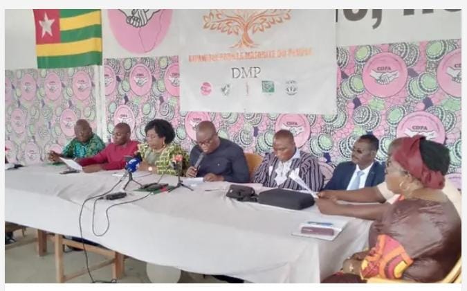 Vers une modification de la constitution togolaise : la DMP se prononce